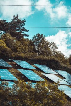 reduce carbon footprint
