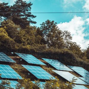 reduce carbon footprint